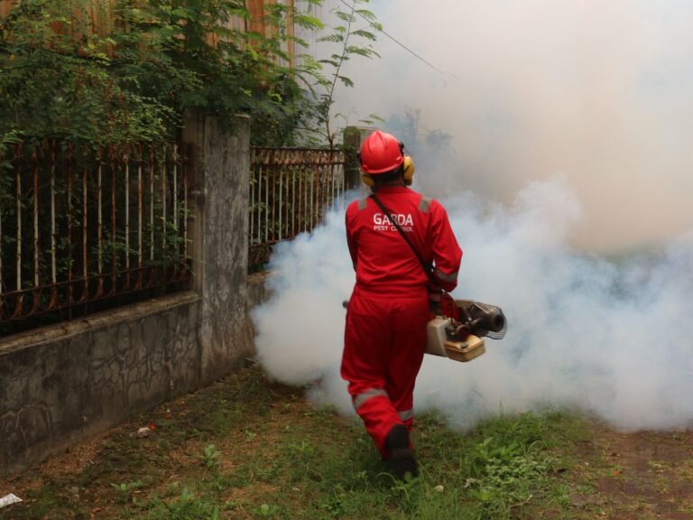 Pest Control in Doha, Qatar