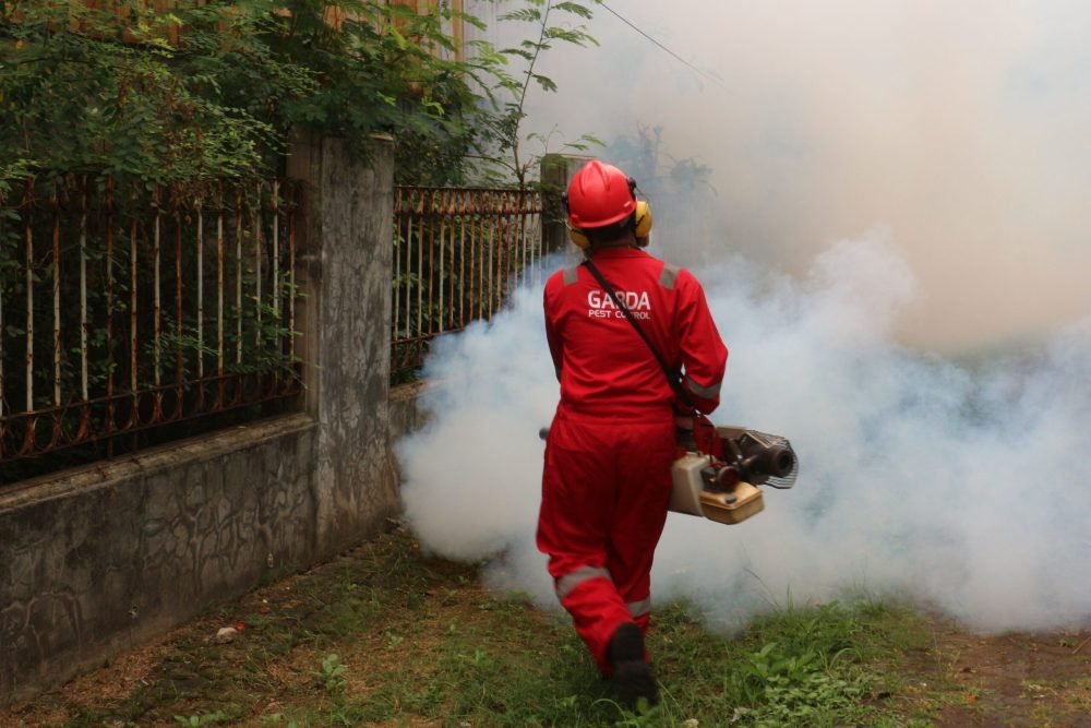 Professional pest control service in Doha Qatar